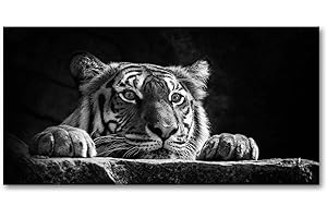 Tulup Impression sur verre100x50 cm Image Tableau Photo décorative panoramique pour la cuisine et le salon - Animaux - Tigre - Noir et blanc