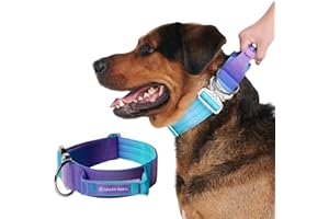 Spark Paws Taktisches Hundehalsband – Robuste, Premium-Qualität, Dick und Langlebig für Große und Mittelgroße Hunde (5cm/2in Width) - 90s Retro - M, 5cm