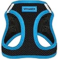 Voyager Step-in Air Dog Harness - All Weather Mesh Step in Vest Harness for Small and Medium Dogs by Best Pet Supplies - Blue Trim, Small