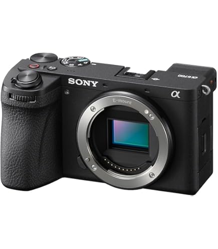 SONY α 6600+sigma16mm f1.4 Sony-Alpha-a6600-with-Sigma-
