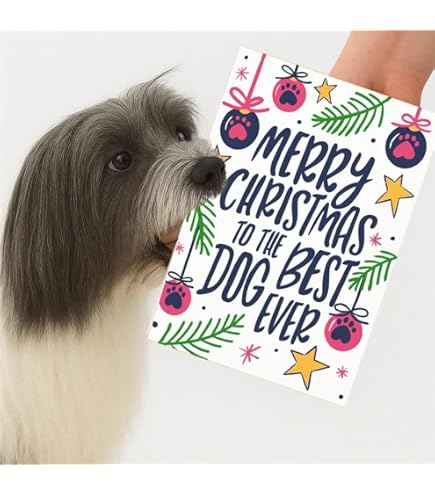 Doodlecards Special Friend Christmas Card Robin By Lamp Medium Size