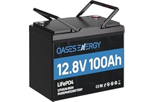 Oasesenergy LiFePO4 12V 100Ah Lithium Batterie Mini mit 100A BMS und 4000~15000 Zyklen, 10 Jahre Lebensdauer, 1280Wh 12V LiFePO4 Akku für Wohnmobil, Solarpanel Kit,Backup-Strom, Camping, Boote