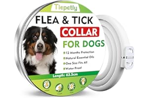 TIEPETLY Collare Antipulci Cane, Naturali Collare Antipulci e Zecche per Cani, 12 Mesi di Protezione Impermeabile Collare Cane Antiparassitario, 63.5cm Regolabile Collare Antipulci (A1)