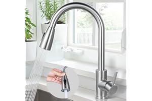 ARCORA Rubinetto Cucina con Doccetta Estraibile, Alta Pressione Miscelatore Cucina in Acciaio Inox, Girevole a 360° Rubinetti Cucina