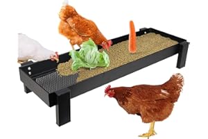 JonesHouseDeco Metal Mesh Chicken Feeder Tray Black Metal Stand Chicken Feeding Trough with Mesh Tray, 2 Vegetable Holder, Rust-Resistant, Easy to Clean, Chicken Coops Essentials, B824A01