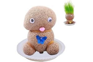 ITRIMAKA Grass Head Doll Plant for Kids, Grass Head Hair Growth Toy with Tray, Flower Head Potted Plants Ornaments, Cress Heads for Home Desktop Decoration