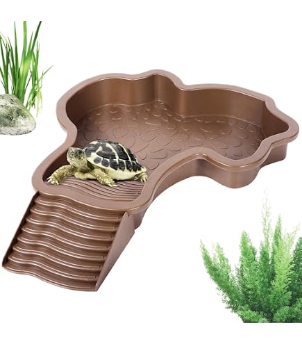 Lot De 2 Abreuvoirs Pour Tortue Terrestre - Bol Eau Nourriture Petit Reptile - Serpent, Lézard - Vert - 14