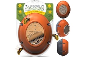 eggologic Hive Pod Bee Hotel, Modern Insect House for Gardens – Solitary Bee House with Natural Nesting Tubes, Wall-Mounted Bug Box for Pollinators, for Gardeners - Harvest Orange