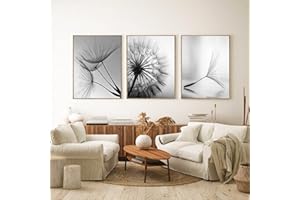 TROYSINC Lot de 3 posters design - Motif pissenlit - Sans cadre - Impression murale - Noir et blanc - Pour la décoration du salon (40 x 50 cm)