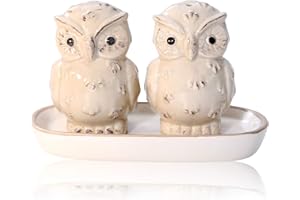 FLANACOM Zabawna solniczka i pieprzniczka z porcelany, dozownik przypraw, para sów, szare