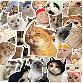 Ms Major Selection 100' Crazy Cat Sticker Set Laptop Notebook Tablet Sticker Set