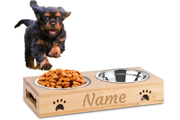 CGFN Gamelle pour Chien Personnalisé, Station d'alimentation pour Chat avec Nom, Mangeoire et Abreuvoir pour Chats, Convient aux Petits et Moyens Chiens, Chats