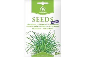 Citronnelle, Graines prêt à Pousser Minigarden, 100% Naturelles sans Propagateurs Chimiques ni Génie Génétique, inclut entre 25 et 40 graines