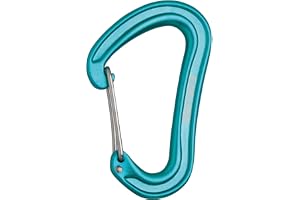 Edelrid karbinhake Nineteen G II (expresskarbinhake, normal karbinhake, baskarbiner)