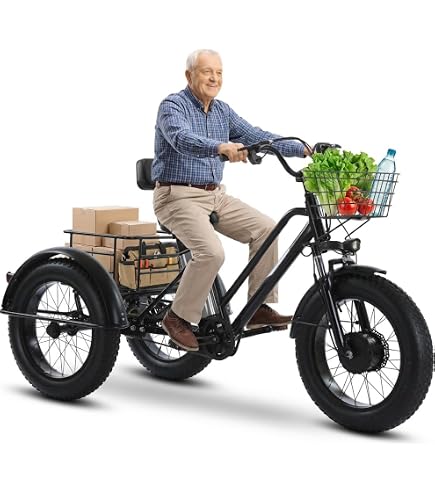 Adult Trike 3-Wheeled Bicycle with Low Step-Through Carbon Steel Frame