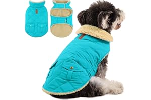 Queenmore Manteau Chien Petit Manteaux Chaud Imperméables pour Teckel, Chihuahua Et Maltese, Bleu Clair, S