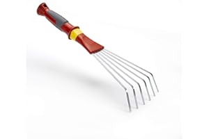 Outils Wolf | Petit Balai À Main| LDK