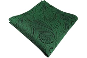 TigerTie Designer Einstecktuch in Paisley gemustert - Stecktuchgröße 30 x 30 cm