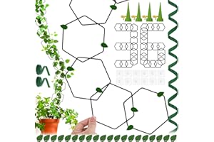 KAKVEIAI 36 PCS Treillis à Chaîne pour Plantes Grimpantes, Aide à l'escalade pour Plantes, Support de Plantes d'intérieur et d'extérieur, avec Rubans 2M et Crochets 32pcs, pour Plantes Grimpantes