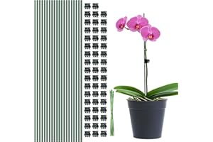 TSKDKIT Supporti per Piante 40 cm, 20 PCS Bastoncini di Supporto Verdi Pieghevoli con 50 Clip e 20 Cravatte, Bastoncini da Giardinaggio per Piantine di Girasole, Orchidee