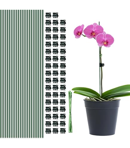 iFutniew Set di pali per piante, bastoncini per piante con tubo di collegamento, per piante da interno ed esterno, palo di supporto regolabile verde