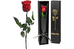 Yamonic Preserved Rose Gifts for Women,Eternal Real Rose with Stem Birthday Gifts For Women,Christmas Rose Gifts for Women, Eternal Flowers Gifts for Mum,Grandma,Wife Gifts For Christmas,Thanksgiving