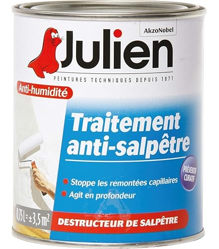 Traitement Anti-salpêtre Pour Murs Humides - Hydrofuge Et Anti-moisissure, 20L (jusqu'à 80m²) Par ARCANE INDUSTRIES