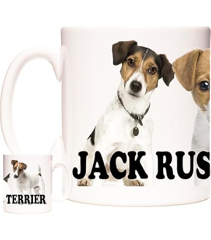 Personalizzato Jack Russell Sottobicchiere 'keep calm 'Nome' E
