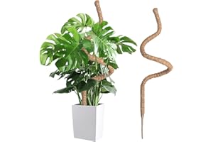 Wigearss Tuteur Plante Intérieur 120cm, Support Grimpant en Coco Pliable, Poteau de Croissance pour Jardin Domestique, Plante Monstera
