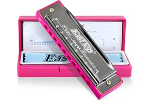 East top blues armonica, diatonico 10 fori C chiave felice armonica bocca organo per principiante, bambini, bambini, studenti, regalo