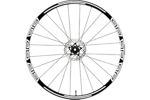 DualColorStampe Autocollants pour jantes de vélo 26" - 27,5" - 28-29" Pouces Roue de Vélo VTT Stickers Jantes VTT Accessoires VTT B0048 (28-29'' Pouces, Blanc)