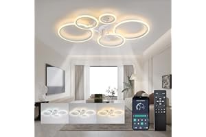 ycwdcz White Modern Ceiling Fan Silent Circle Ceiling Fans with Lights and Remote DC Motor Reversible Summer Winter Mode for Bedroom Living Room Kitchen, 100cm