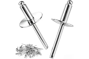 mawmuaw 100 st blindnitar med stor fläns 4,8 x 12 mm popnitar rostfritt | Nitar med stort huvud, 304 rostfritt stål, brett huvudnitar, nitar 4,8 mm stort huvud, silver, för trä, möbler, plåt, bil