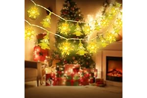 OWill Luces de Navidad con Pilas,6M 40 LEDs,2 Modos Clásicos (Constante + Intermitente) para Interior y Exterior,Decoración para Árbol,Jardín,Fiestas