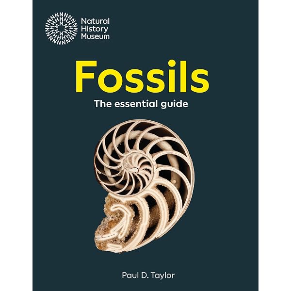 Buy Fossils: The Key to the Past Book Online at Low Prices in