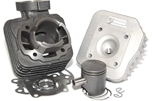 Easyboost Kit Cylindre 50 Fonte pour Trekker Speedfight 1-2 Buxy Culasse Piston Bi-segments Type Origine Vertical AC 2T Vivacity Metal-X Elyseo Elystar Looxor TKR Zenith