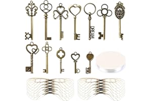 SANNIX 48 Stück Vintage Skelett Schlüssel Fliegende Schlüssel Charms mit 50 Paar Libellenflügel und 30m Elastische Kristallschnur für DIY Schmuckherstellung Hochzeit Party Gastgeschenke Raumdekoration