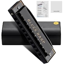 CONJURER Blues Mundharmonika F# Dur – 10-Loch, Für Anfänger & Kinder, Phosphorbronze-Stimmzungen, Inkl. Etui
