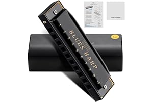 CONJURER Blues Armónica para principiantes y niños, arpa diatónica de blues de 10 agujeros con cubierta de acero inoxidable y varillas de bronce fosforado, grado profesional para adultos, estudiantes,