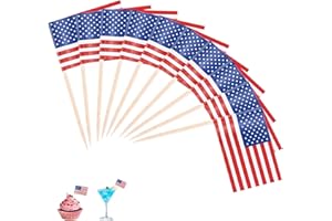 MALOUSUN 100 bandiere stuzzicadenti, bandiera dell'Europa, bastoncini da cocktail, spiedini da cocktail, diversi alimenti (America)