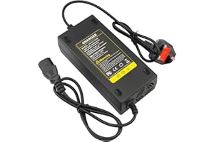 ARyee 59V 48V 2.5A 150W Electric Scooter Battery Charger Compatible with E-bike Scooter Tricycle Drift Trike (PC Plug)