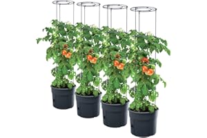 PAFEN 4 donice Tomato Grower na flance pomidorów, 392 x 1530 mm, do ogrodu, na taras