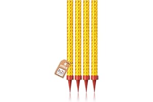 h2i Eissterne | 4 Stück | 90 Sek. Brenndauer | Eisfontäne, Sprühkerze, Wunderkerze - Highlight für Events, Party, Hochzeit, Geburtstag | Tischfeuerwerk & Deko für Flaschen & Torten | Kat F1