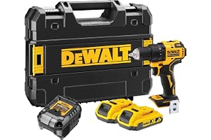 DEWALT18 volt 2-växlad sladdlös borrskruvdragare (borstlös motor, full metallväxellåda, 15-stegs vridmomentmodul, 13 mm snabb