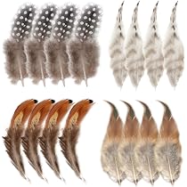 20 Piume Naturali Di Coda Di Tacchino – 15-20 Cm – Soffici E Lucenti, Ideali Per Artigianato, Decorazioni, Acchiappasogni, Matrimoni E Fai Da Te