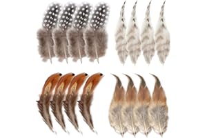 KAYEF 200pcs Plumas Decorativas Naturales Plumas de Cola Decoraciones Plumas de Colores Plumas de Pollo Decoracion Plumas Manualidades Artesanales para DIY Corona de Navidad Boda