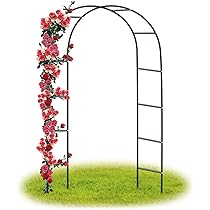 Arco Da Giardino In Metallo Per Rose Rampicanti - 230x188cm, Nero | Supporto Per Piante, Pergola Per Esterni E Interni | Xverycan
