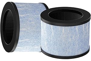 LOHILL Filtro de aire DH-JH01 compatible con CONOPU DH-JH01 y DH-JH06 purificador de aire 4 en 1 H13 True HEPA y filtro de repuesto de carbón activado (paquete de 2)