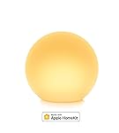 Intex chauffage piscine