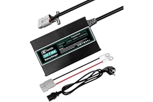 YCTECHLIFE Cargador de Batería de Litio de 12V 20A Compatible con Conexión Anderson Diseñado para Cargar Baterías LiFePO4 de Ciclo Profundo de Coche RV Marina